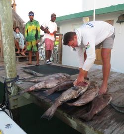 4 people fishing with 3 fish in FL