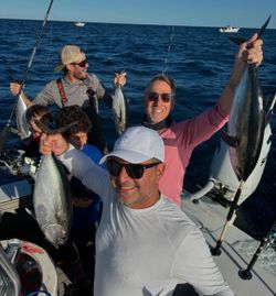 Three big blackfin tuna fish caught in North Bay Village