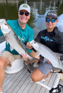 Tarpon Fishing always!