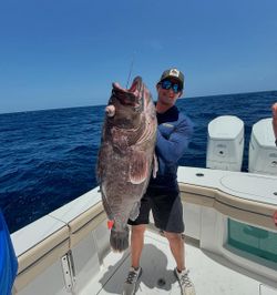 A person fishing in North Bay Village