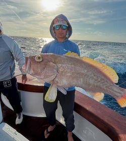 An angler holding a big fish while standing in North Bay Village
