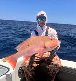 Mutton Snapper caught while fishing in North Bay Village