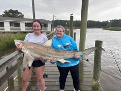 Angler holding a large Atlantic Sharpnose Shark in Calabash