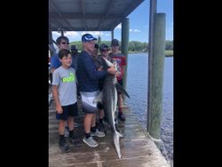Caught a 42-inch Atlantic Sharpnose Shark while fishing in NC.