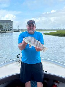 Photo of a 13-inch Black Drum fish caught while fishing in NC