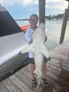 Blacktip shark caught fishing in Calabash NC displayed on dock next to boat