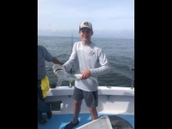 A bonnethead shark, a species of shark, caught during a fishing trip in North Carolina