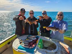 Successful fishing trip showing California Scorpionfish and other species caught in Calabash NC waters
