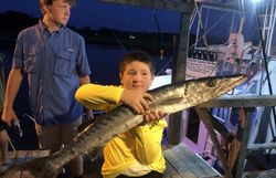 Little Tunny fish caught while fishing in Calabash