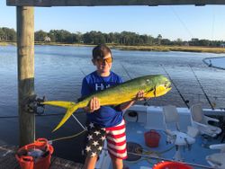 Mahi Mahi or Common Dolphinfish caught while fishing in NC