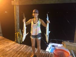 Two blacktip shark and sandbar shark fishing in NC
