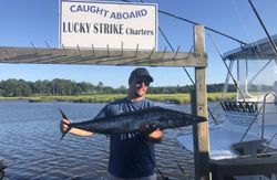 A scenic landscape with a single fish caught in NC.