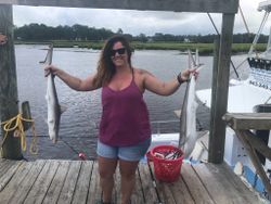 Two atlantic sharpnose and bonnethead sharks caught while fishing in Calabash