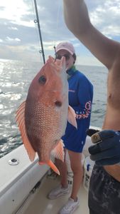 Fish-Species