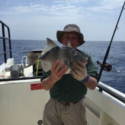 Fish-Species