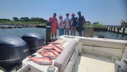 Fish-Species