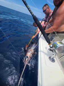 Deep sea and offshore fishing in Gulf Shores!