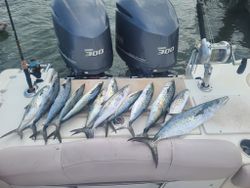 Catch the thrill of offshore fishing in Gulf Shore