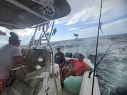 Exciting Gulf Shores fishing trips for all anglers