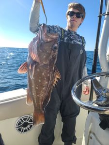 Fish-Species