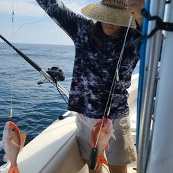 Alabama Fishing: The Angler's Paradise