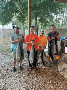 Three Yellowfin Tuna and Atlantic Bonito fish caught in Gulf Shores