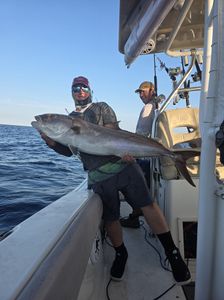 Greater Amberjack caught while fishing at Gulf Shores