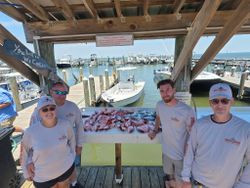 Fresh caught fish displayed on cleaning table at Gulf Shores Alabama marina with boats in background