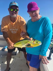 Mahi mahi catch displayed on fishing boat in Gulf Shores AL