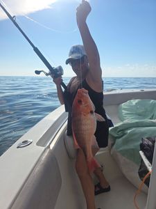 Red snapper caught on fishing boat in Gulf Shores AL