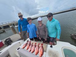 Fresh caught red snapper displayed on fishing boat deck in Gulf Shores Alabama