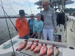 Red snapper and grey snapper catch displayed on fishing boat in Gulf Shores AL