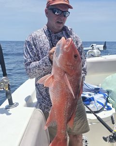 Large red snapper caught while fishing in Gulf Shores AL