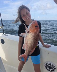 Red snapper caught while fishing in Gulf Shores AL