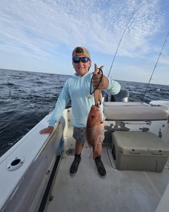 Red snapper caught while fishing in Gulf Shores AL on fishing boat