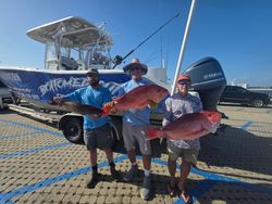 Three anglers displaying two large red snapper caught during fishing trip in Gulf Shores AL