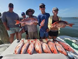 Successful red snapper fishing trip in Gulf Shores AL with multiple fish displayed on boat deck