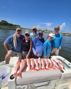 Successful red snapper fishing trip displaying multiple fish caught in Gulf Shores AL