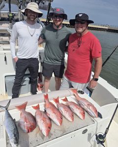 Fresh caught red snapper and Spanish mackerel displayed on fishing boat deck in Gulf Shores Alabama