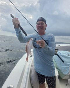 Red snapper caught while fishing in Gulf Shores AL on fishing boat