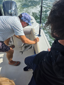 Reeling in the best Spanish Mackerel while trolling the Gulf!