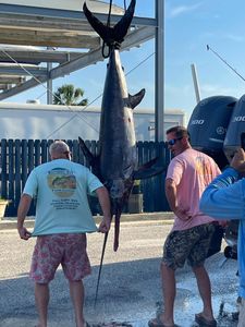 Swordfish caught while fishing in Gulf Shores