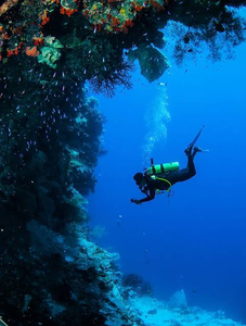 Scuba diver exploring underwater coral reef cave with colorful marine life and fish