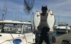 Two California Flounder fish caught while fishing in San Francisco