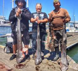 3 people fishing in CA