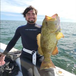 Gag Grouper fish caught in Crystal River