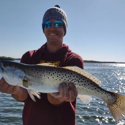 Fishing for a spotted weakfish in Crystal River