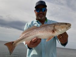 Redfish caught while fishing in FL