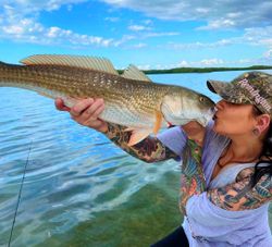 Redfish caught while fishing in FL
