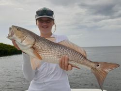 Redfish caught by angler in Crystal River